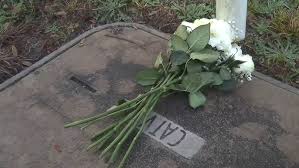 Katherine McCollough Death – Obituary Los Angeles, CA: Los Angeles Mourns Passing of Reggie Watts’ Girlfriend Katherine Early McCollough